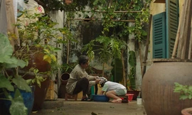 MC Trấn Thành lại làm “Thành Cry”, bật khóc vì một bài hát viết về cha