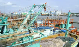 Nhiều tàu cá ở cửa biển Sông Đốc đang không có dầu để ra khơi