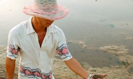 Tôm chết hàng loạt, thiệt hại cả ngàn tỷ đồng