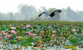 Những tỉnh nào từng được tách, sáp nhập ở nước ta?