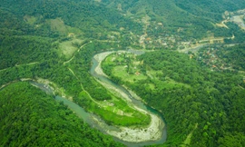 Tỉnh nào có đường biên giới dài nhất Việt Nam?