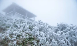 Nơi nào lạnh nhất Việt Nam?