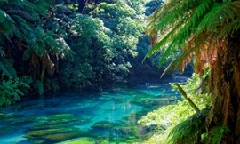 New Zealand thuộc châu lục nào?