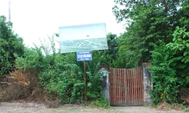 Về Cẩm Giàng tìm dấu Tự Lực Văn Đoàn