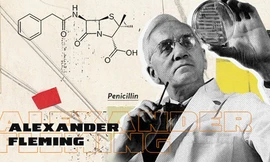 1001 thắc mắc: Ai là người tìm ra kháng sinh Penicillin?
