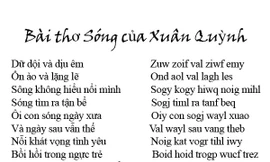 Có hay không việc Viện Ngôn ngữ học Việt Nam từ chối thẩm định 'Chữ VN song song 4.0'?