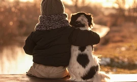 1001 thắc mắc: Tại sao chó thích được xoa bụng?