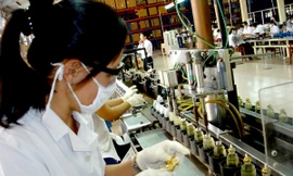 DN đang gặp khó khăn trong sản xuất kinh doanh trong thời gian dài khiến nền kinh tế suy giảm sâu Ảnh: Đại Dương