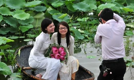 Xao xuyến với sen đầu mùa