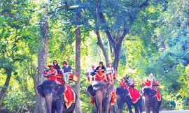 Phượt với biển rừng Moldunkiri