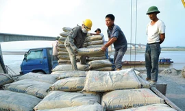 Tiêu thụ xi măng tăng mạnh cả nội địa và xuất khẩu