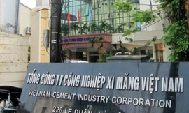 Sếp Vicem nhận lương 850 triệu mỗi năm