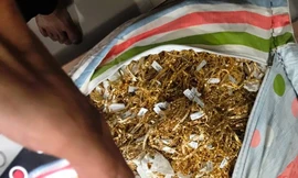 Nam thanh niên trộm 230 lượng vàng trong 6 năm 