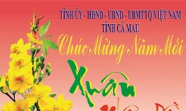 Cử tri Cà Mau muốn bỏ thư chúc Tết giấy sang dùng mạng xã hội