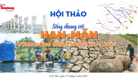 Bàn giải pháp để sống chung với hạn, mặn ở vựa lúa lớn nhất cả nước