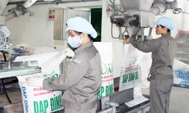 DAP - Vinachem đặt kế hoạch tiêu thụ 56.000 tấn DAP trong những tháng cuối năm 