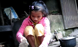 Ong non giữa đời