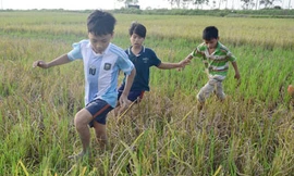 Biệt đội 'nhóc tì' chuyên bắt chuột làm thịt