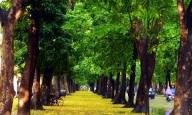 Những chốn lãng mạn như phim Hàn ở Hà Nội