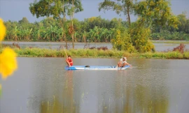 Mưu sinh mùa nước nổi ở ĐBSCL ẢNH: CẢNH KỲ