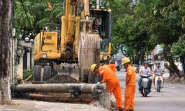 EVN yêu cầu tạm dừng sử dụng cột điện dự ứng lực tại Huế để nghiên cứu, đánh giá lại