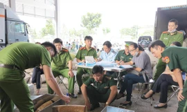 Lực lượng Hải quan phối hợp Biên phòng, Công an kiểm tra một lô hàng ngà voi nhập lậu