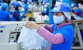 Chính sách cho DN vay trả lương lãi suất 0% thiếu thực tế khiến DN chưa tiếp cận được, NLĐ cũng gặp khó theo 