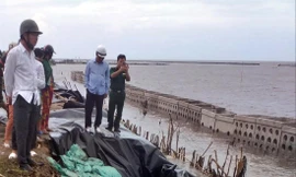 Đại diện Sở NN&PTNT Cà Mau kiểm tra dự án