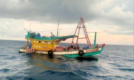 Chiếc tàu ông Ðồng trúng đấu giá đã được giao cho người bị thi hành án