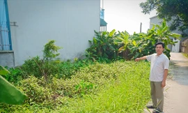 Ông Hoàng Trọng Dương và khu đất mua 14 năm không làm được sổ đỏ. ảnh: Hoàng Long