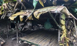 Một chiếc lán tạm của người Mày trong rừng sâu 