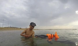 Anh Lê Chiến, thành viên đội đang chăm sóc cho chú cá heo bị thương dạt vào bờ biển tỉnh Quảng Nam. Ảnh: NVCC