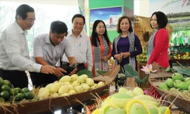 Lô xoài cát Hòa Lộc đầu tiên của Việt Nam từ tỉnh Đồng Tháp xuất khẩu sang Mỹ 
