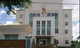 Trốn thuế gần 500 triệu đồng, chủ doanh nghiệp bị khởi tố 