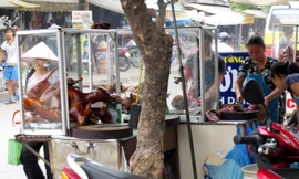 Một tủ thịt chó bên đường ở Hà Nội. Ảnh: Như Ý