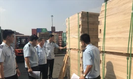 Hải quan TPHCM kiểm tra container gỗ vi phạm
