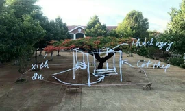 Ý tưởng làm giàn bảo vệ cây kiêm chỗ ngồi mát của nhà nhiếp ảnh Đặng Hào 