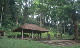 Ngôi đình của người dân tộc Cao Lan trong khu rừng lim 