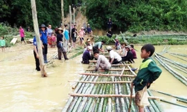 Dân DCTD kết tre làm cầu tạm 