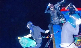 Nơi hải chiến Hoàng sa, bây giờ…: Sống tại Nguyệt Thiềm