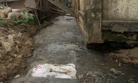 Một dòng mương đặc quánh vì chất thải cạnh trường Tiểu học Dương Liễu B 