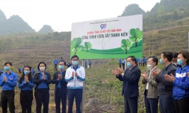 Bí thư Thường trực T.Ư Đoàn Bùi Quang Huy và các đại biểu khánh thành vườn cây thanh niên với 400 cây dổi Ảnh: Xuân Tùng 