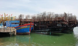 Hàng chục tàu câu mực đang neo đậu tại cảng An Hòa (Núi Thành, Quảng Nam)