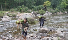 Thành quả sau 1 ngày luồn rừng của vợ chồng chị Hồ Thị Đụt, bản Ka Ai 
