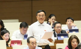 Nhiều đại biểu bày tỏ quan điểm rằng, lãnh đạo các tỉnh, bộ trưởng không nên là đại biểu QH ảnh: như ý