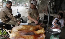 Một điểm bán thịt chó tại Hà Nội