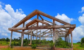 Chợ Ya Lốp bỏ cỏ mọc um tùm 