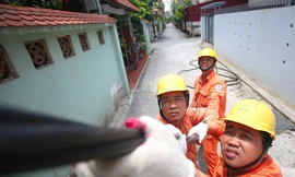 Công nhân điện lực Hà Nội sửa chữa đường dây điện sinh hoạt tại quận Long Biên. Ảnh: VnEpress