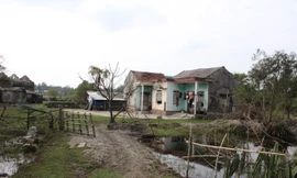 Dù đã nhường đất cho dự án, nhiều người dân quay lại sinh sống khi dự án nằm im 10 năm nay