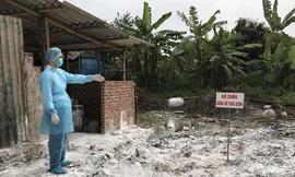 Ổ dịch đầu tiên ở Hà Nội xuất hiện tại phường Ngọc Thụy, quận Long Biên đã được khoanh vùng, rắc vôi, phun thuốc sát trùng. Ảnh: Bình Phương 